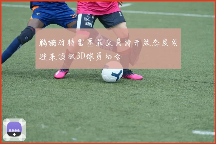 鹈鹕对特雷墨菲交易持开放态度或迎来顶级3D球员机会