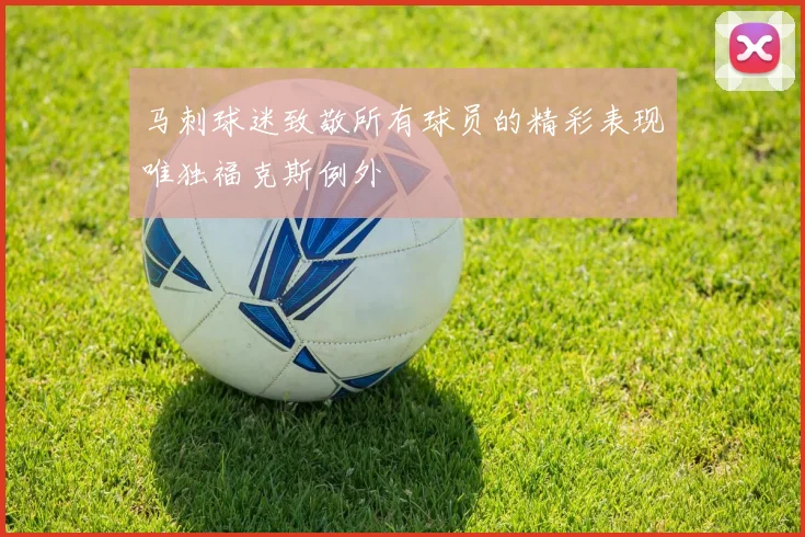 马刺球迷致敬所有球员的精彩表现唯独福克斯例外
